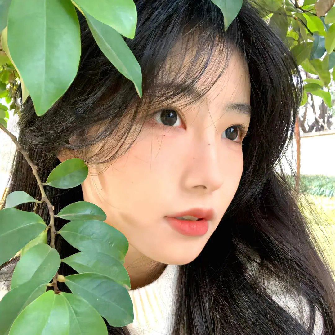最佳合伙人