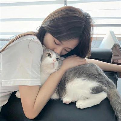 完美娇妻养成班